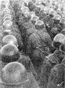 Gyakorlat után (fotó: Jávori Béla)