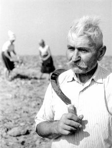 Mezőn (fotó: Jávori Béla)