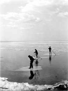 Veszélyes játék (fotó: Jávori Béla)