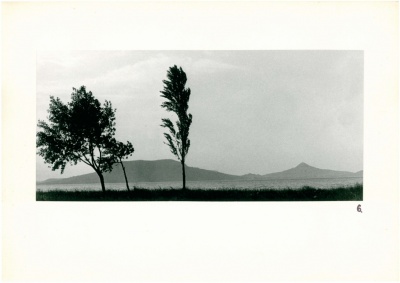 Balatoni szél (fotó: Jávori Béla)